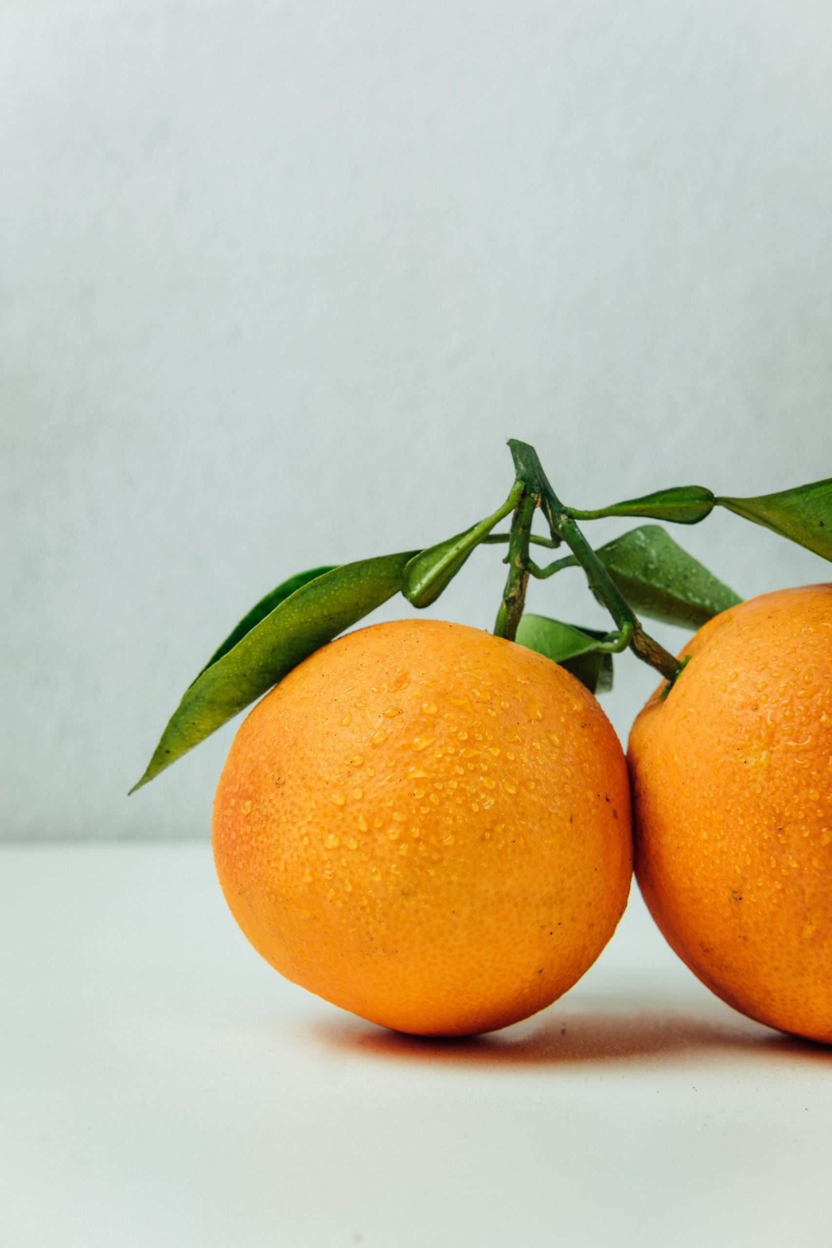 cultivo de naranjas en valencia