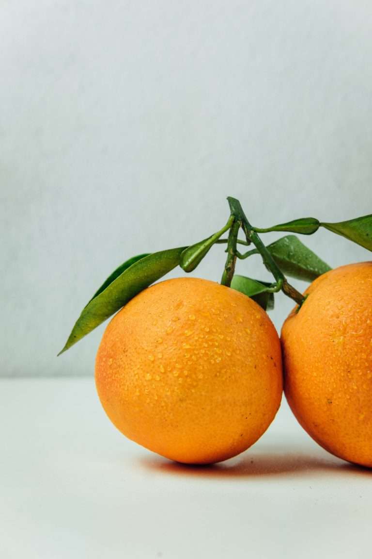 cultivo de naranjas en valencia